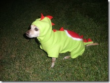 yoshi dog costume
